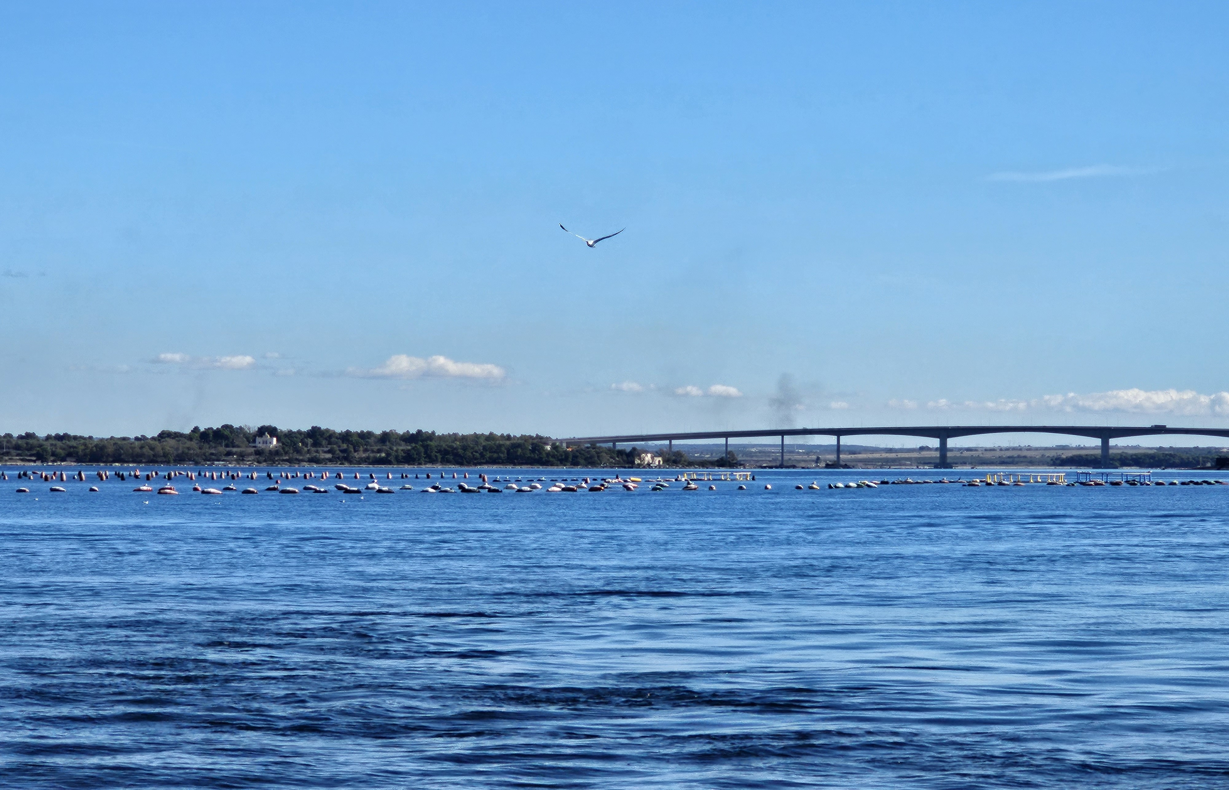Taranto